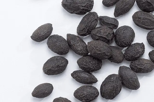 Sao Palmetto Σερενόα (Σάο Παλμέτο, Sao Palmetto) - Image 1