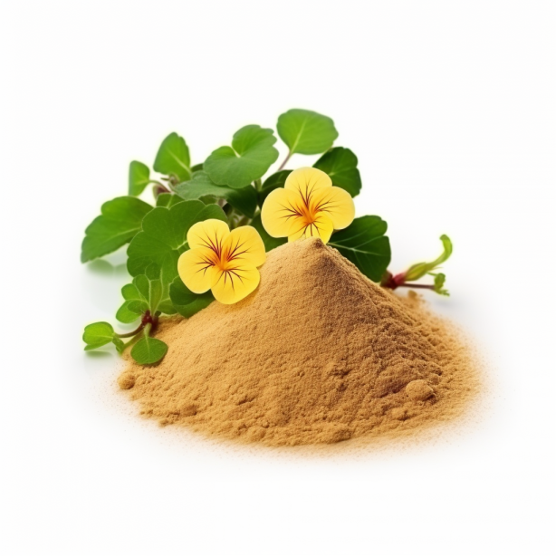 Brahmi Μπράχμι σκόνη (Bacopa Monnieri) - Image 1